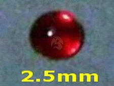 Resicast 1/35 2.5mm Red Lenses (for Headlight, Lamp, etc.) (12 pieces) 352255