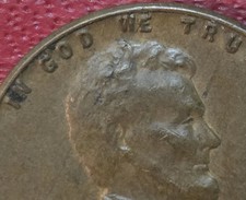  on The Hot Collector