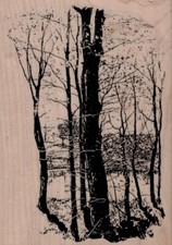 Winter Woods Scene 4 x 5 1/2" Rubber Stamp, Tree Stamp, Woods Stamp