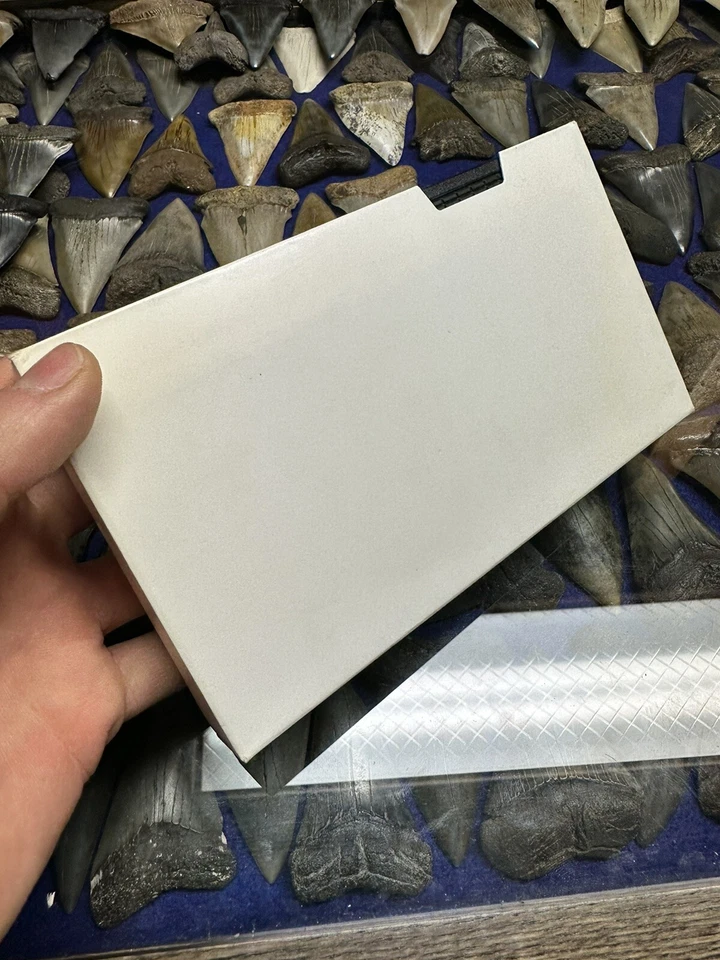 MASTER COPY VACCINATIONS ARE THEY REALLY WORTH THE RISK? DISEASE VIRUS RARE - Image 4 of 4