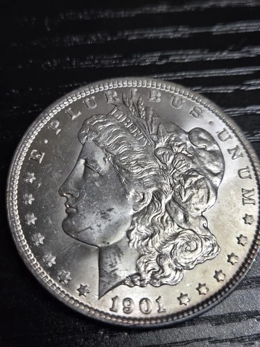 1901 O Morgan Bqu Ms+++ Pl?  Real Nice Un Cleaned