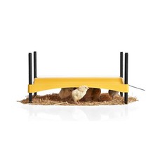 Brinsea Ecoglow Safety 1200 Chick or Duckling Brooder, Adjustable Height & An...