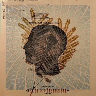 The Third Eye Foundation Wake the Dead (Schallplatte) 12'' Album