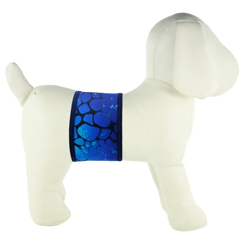 PlayaPup Male Dog Belly Band, SeaMonster Blue, XX-Small
