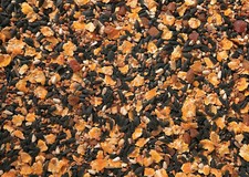 Johnston & Jeff Ground & Table Mix Seed Blend Wild Bird Food 12.75kg *NEXT DAY*