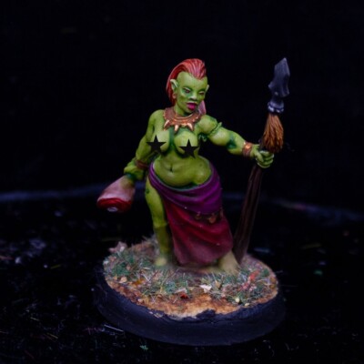 Dungeon & Dragons Kingdom Death 28mm Painted Hero Miniature Figure Female Orc