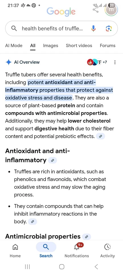 DELICIOUS LUXURY CHRISTMAS SUPER TARTARE BEEF TARTAREWHITE/BLACK TRUFFLE CAVIAR  - Image 2 of 4