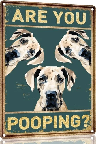 Great Dane Dog Vintage Are You Pooping Tin Metal Signs Home Décor 8x12