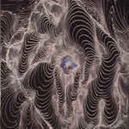 DAHGA BLOOM No Curtains (Vinyl LP)