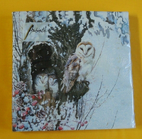 20 Servietten Eulen Im Baum HöHle Winter 1 Packung Ambiente Owls Motivservietten