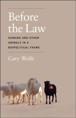 Before the Law by Cary Wolfe PAPERBACK 9780226922416