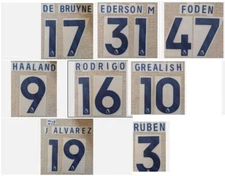 Official Blue Adult Size name number Set - Manchester City Premier League