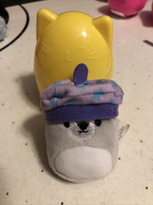 Shaun the Schnauzer Dog Squishmallow | eBay