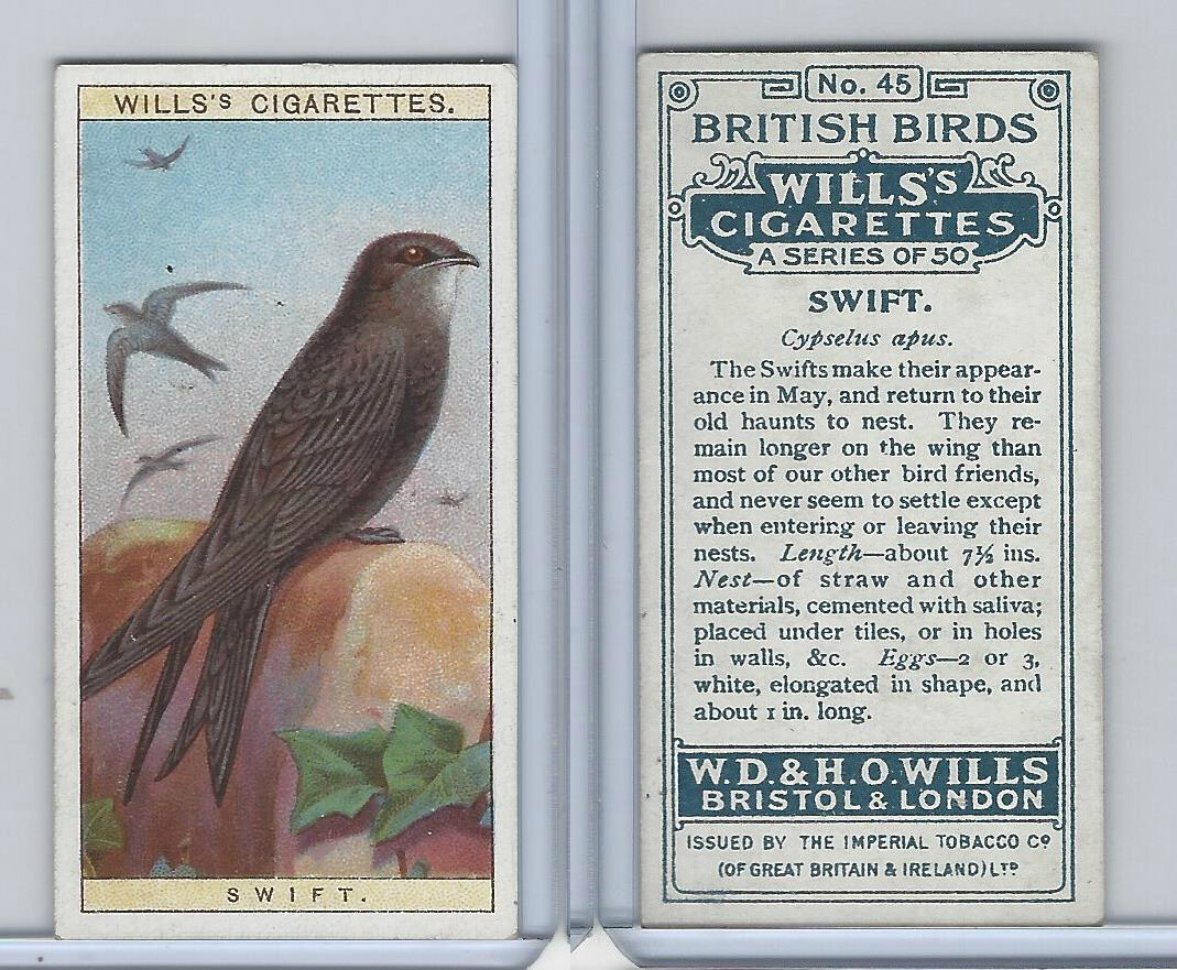 W62-71 Wills, British Birds, 1915, #45 Swift | eBay
