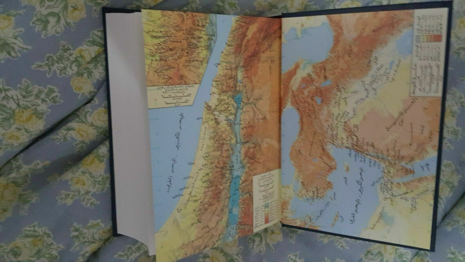 Picture 5 of 6