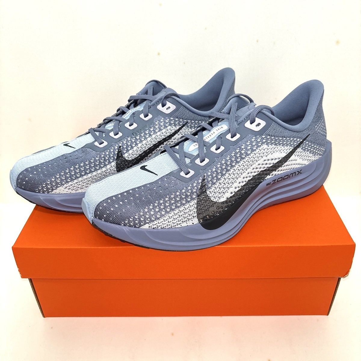 Nike Pegasus Plus FQ7262-402 Ashen Slate/White/Pure Platinum