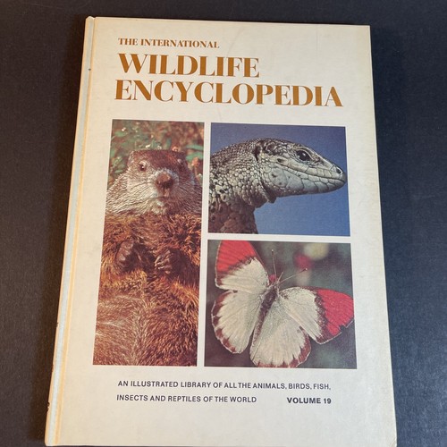 VTG 1969-70 International Wildlife Encyclopedia Hardcover Illustrated Vol 4-20 - Picture 21 of 24