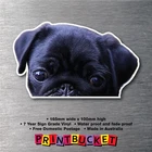 Black Pug peeper Sticker 165mm quality water & fade proof vinyl dog cute