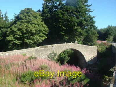 Foto 6x4 alte Brücke der Farbe in der Sonne und gespült mit Rose-Bay Weidenkraut c2006