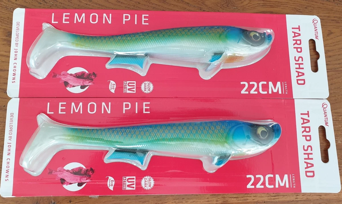 2 Leurres souples pour la pêche