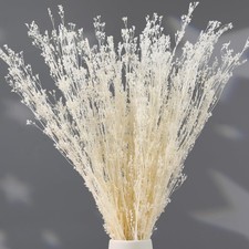 Dried Flowers Babys Breath Bouquet,   17 Inch 3500 Preserved Natural Flowers...