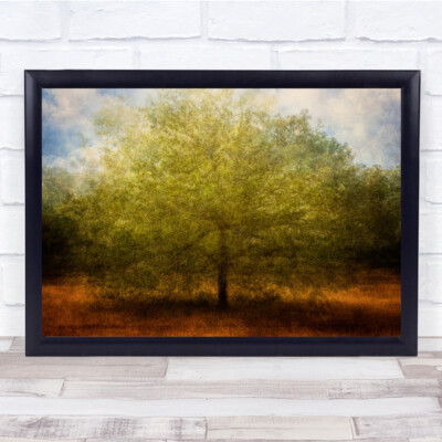 Embrace Me Creative Edit Textur Baum einsame Bäume Wandkunstdruck