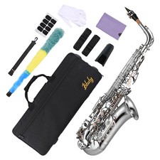 Alto Saxophone Brass Nickel Plating Eb E Flat Sax 802 Key Type with Carry Case