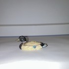 Mini Wooden Duck Hand Carved Unsigned Collectible Decoy Style Sculpture — photo 3