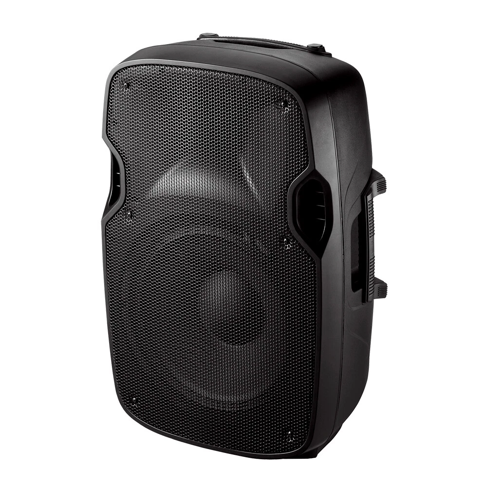 Ibiza Sound XTK12A PA Speaker System 12 500w