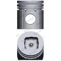 NÜRal Kolben Ø100Mm Passend FüR | 87-325600-00