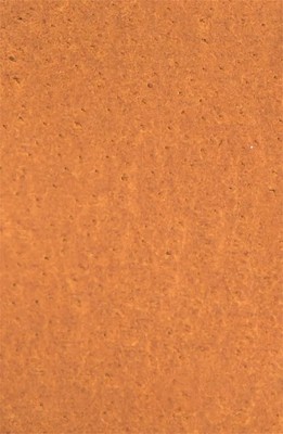 Frye Covered D-Ring Twisted Stud Tan Leather 25mm Belt Size  display picture 3