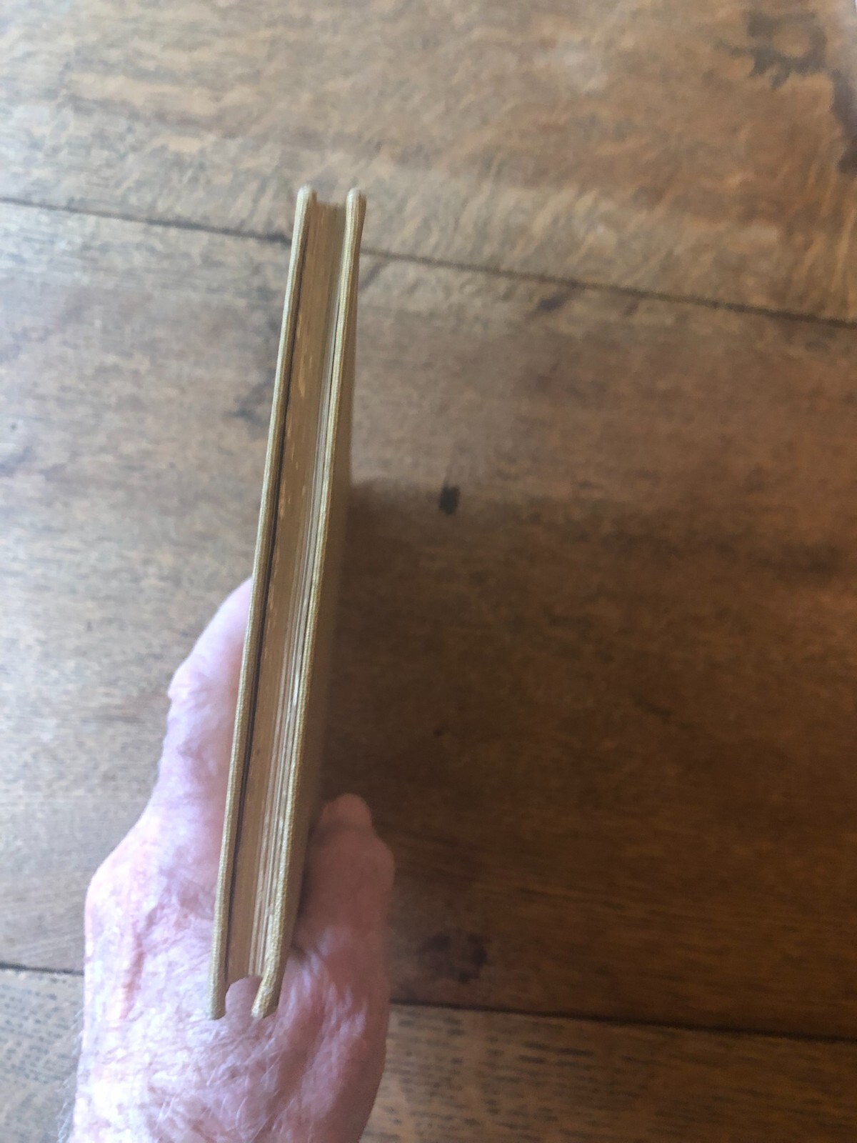 Picture 5 of 18