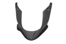 Carbon Bugspoiler für Yamaha FZS1000 2001-2005