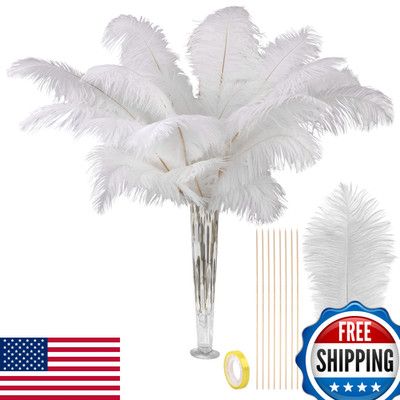 VIJIV Large Ostrich Feathers Bulk 10pc - Craft Making Kit 28'' White