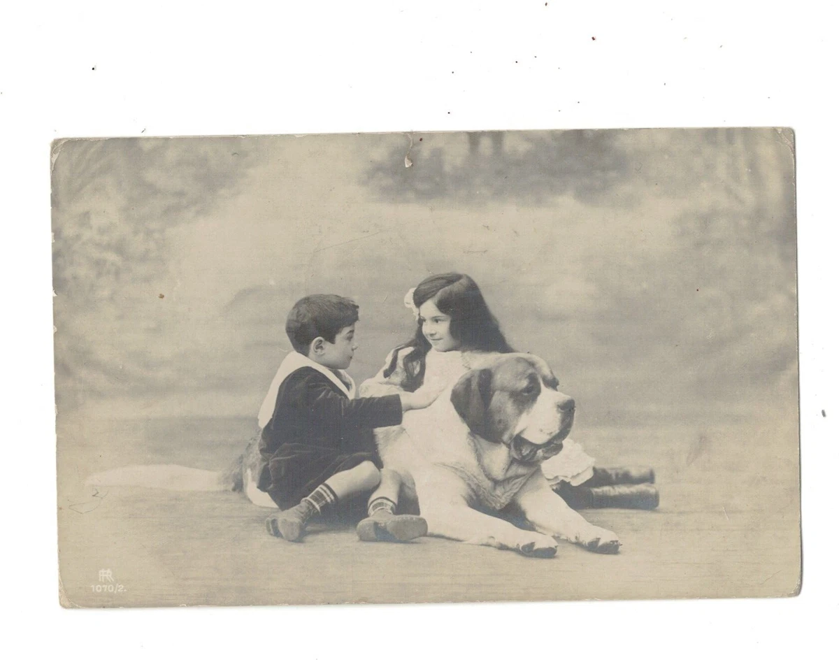 SD1038 ANIMALS VICTORIAN KIDS POSING WITH A BIG ST.BERNARD DOG SEC