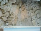 Bild 3 von 12