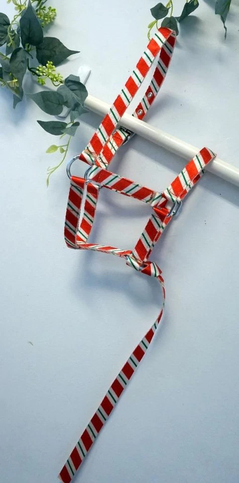 EQUITEM Nylon PP Economy Halter Foal Double ply Foal 'Candy Cane' for X-mas w/12" catch