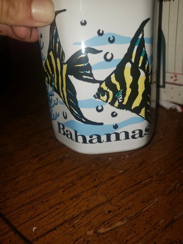 bahamas fish cup for coffe - Picture 3 of 7