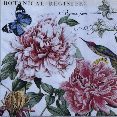 two Individual Peony Flowers Paper Beverage Napkins Decoupage Butterfly Pink