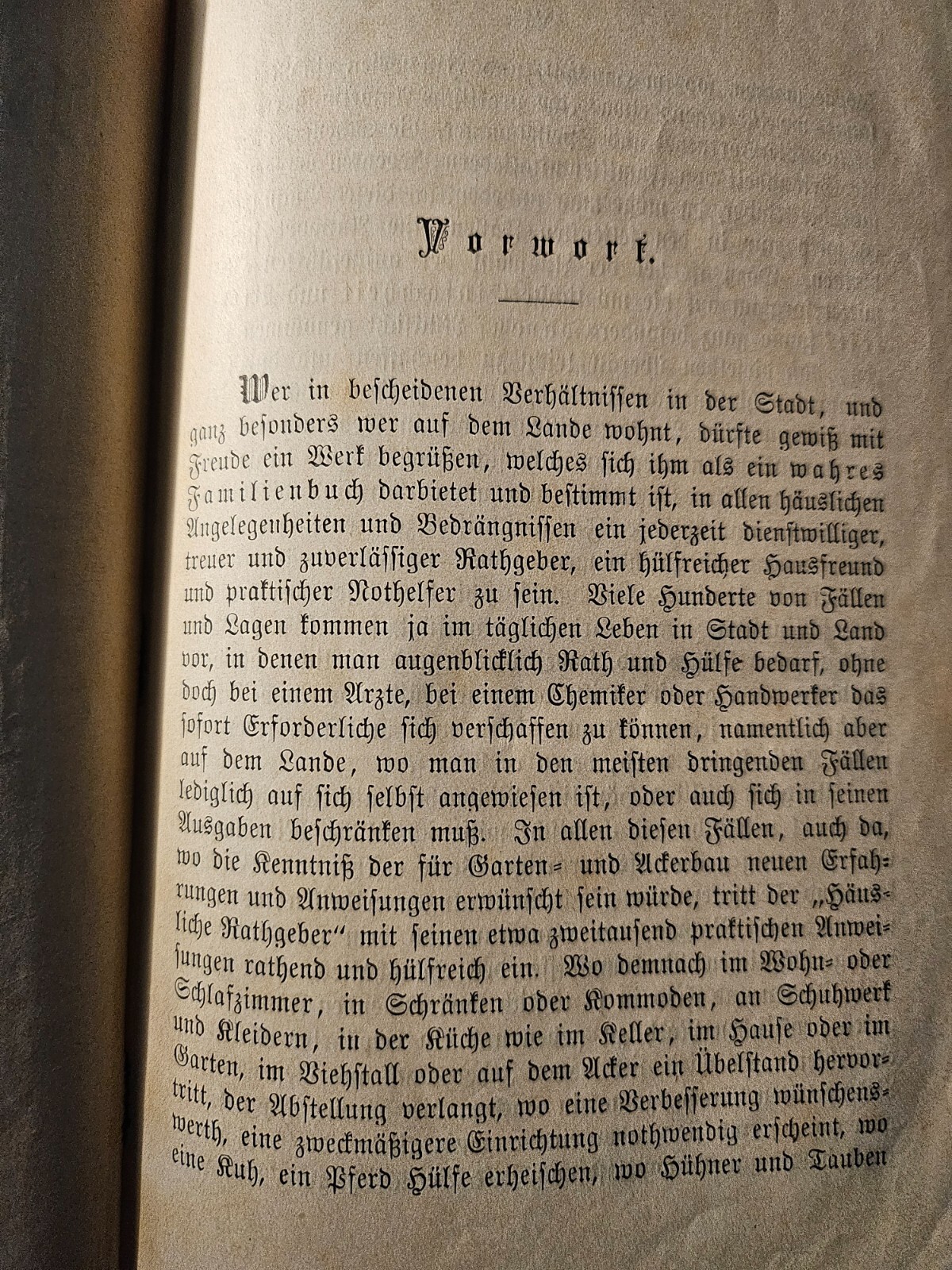 Bild 13 von 14