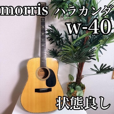 Acoustic Guitar Morris W-40 1975 Jacaranda Natural