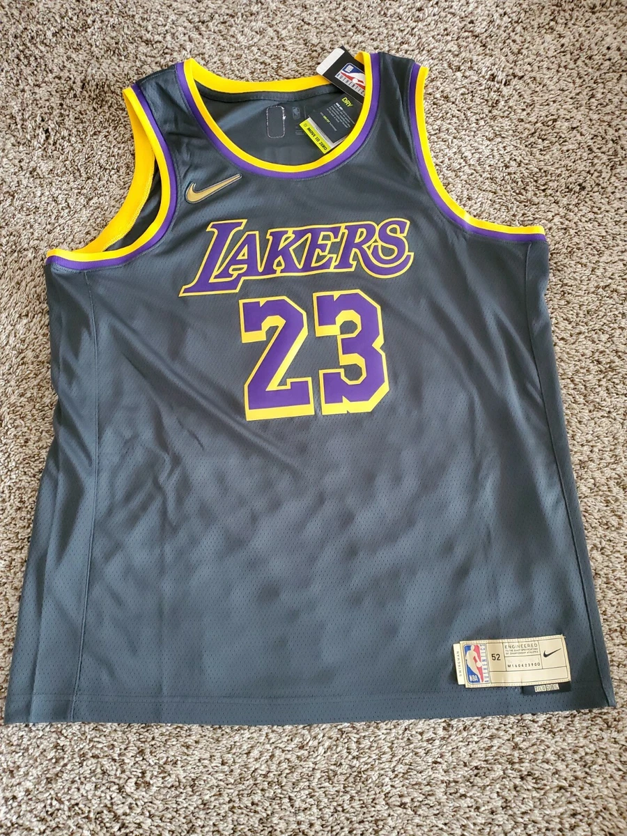 Nike NBA Los Angeles Lakers Lebron James #23 Jersey Size S.