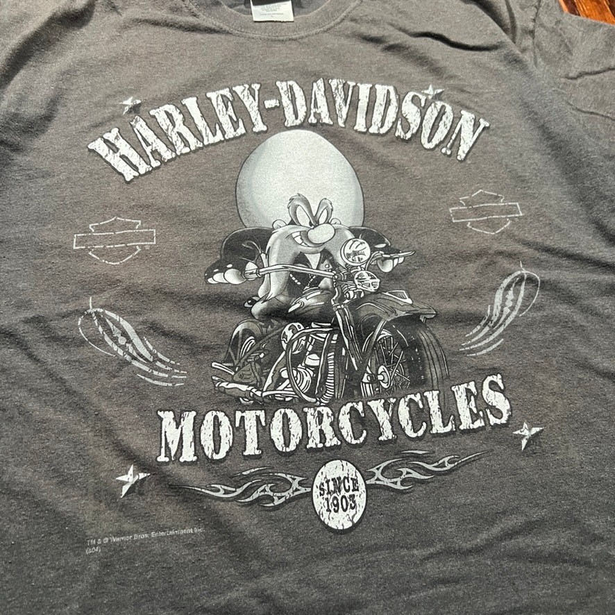 Harley-Davidson L Y2K Graphic T Shirt Gray Biker Loon… - Gem
