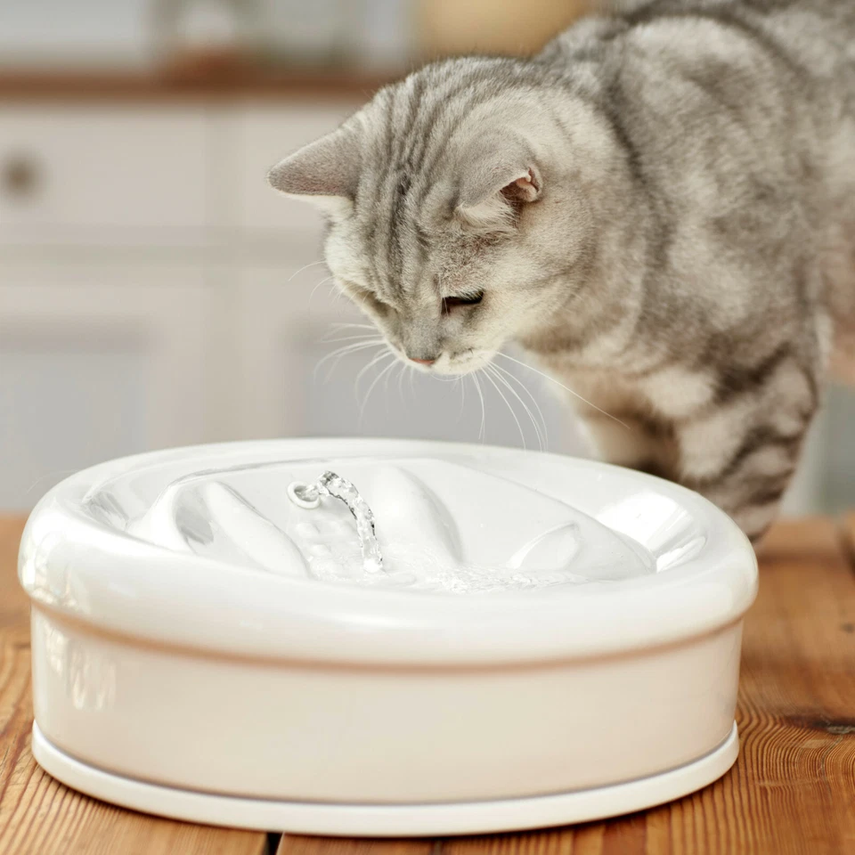 Aqua Feline Premium Keramik Katzenbrunnen Trinkbrunnen Wasserspender 2,0L 12V