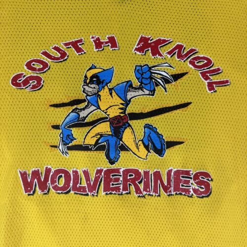 Vintage Rawlings South Knoll Wolverines Jersey Size M Rare EUC #22 Yellow - Picture 3 of 12