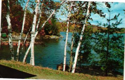 Sandy's Sunrise Shores Postcard