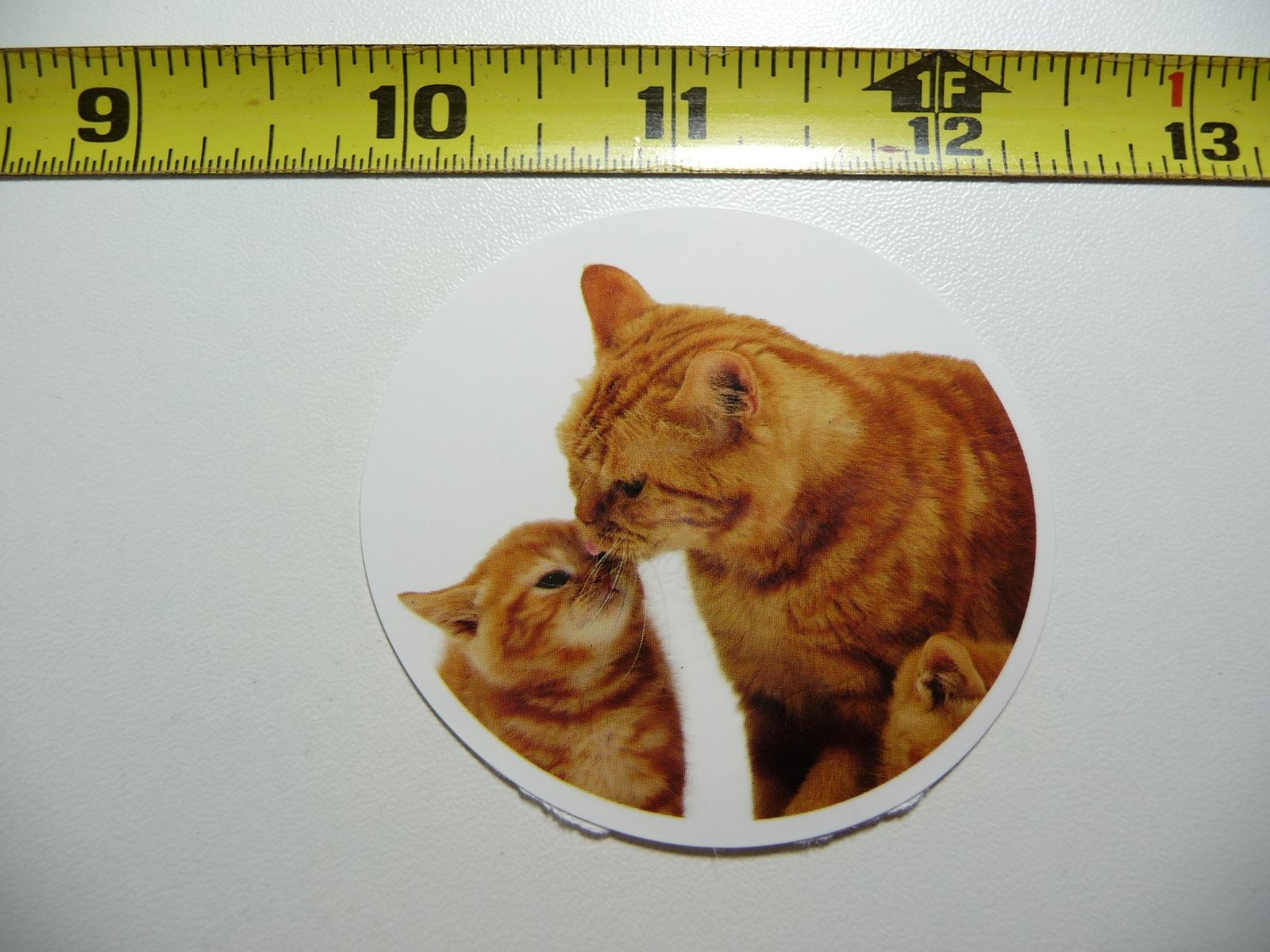 Mom Grooming Kitten Cat Decal Sticker for Pet Lovers