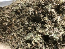 No.23 Blend Herb Osha Lobelia Mullein Colts Catnip Raspberry Mint - 1/2 oz Ounce