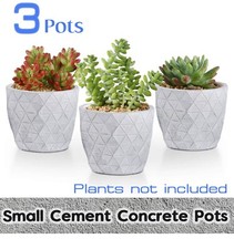 Image of 3 pcs Decorative Concrete Cement Succulent Planter Pots Small Curved Surface Pot