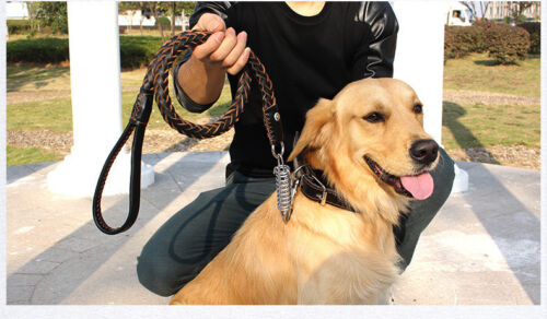 New Dog Collar Set Hand Crafted Braided Genuine Leather Dog Collar & Leash Lead - Picture 4 of 7